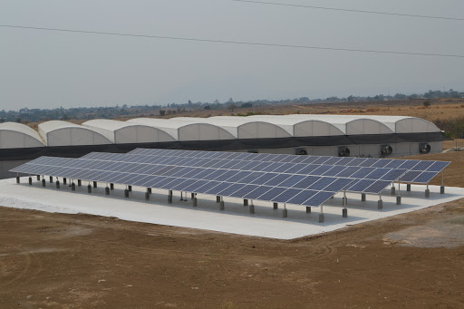CRYPLANT ENERGIAS RENOVABLES Proveedor de equipos de energía solar. Acapantzingo
