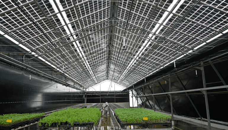 Paneles solares transparentes: ¿El futuro de las energías renovables? 7 Futuras aplicaciones de los paneles solares transparentes